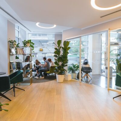 Bright office room with people working in the background and plant placed in various spots.