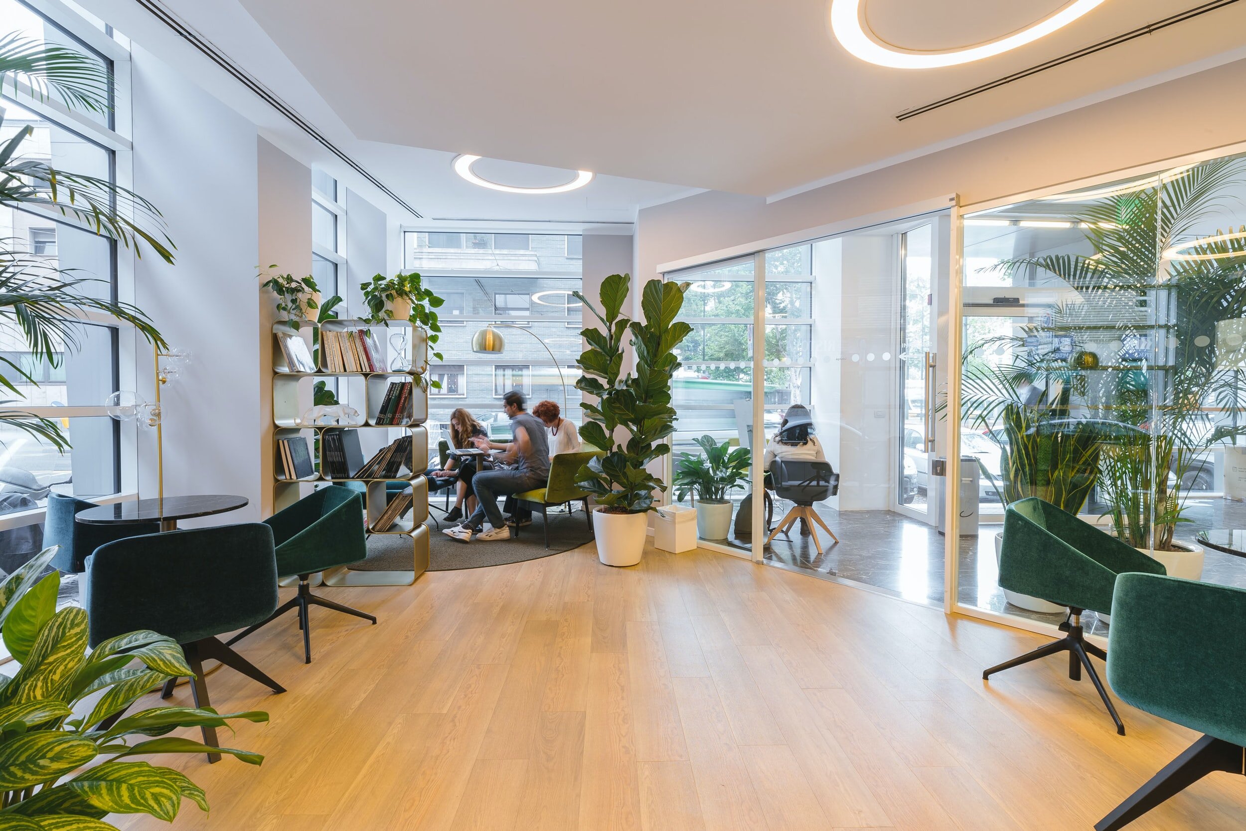 Bright office room with people working in the background and plant placed in various spots.